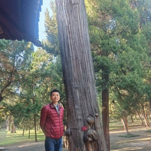 我的相册