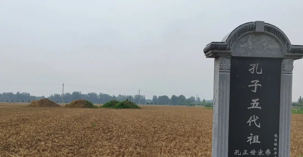 儒家文化之源：河南永城孔子五世祖茔真实照片，看看啥样！