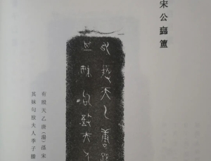 《左传》子姓及子姓氏族综览