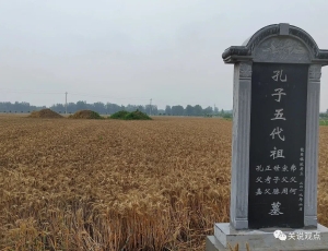 儒家文化之源：河南永城孔子五世祖茔真实照片，看看啥样！