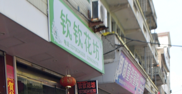 孔子文化走进温州