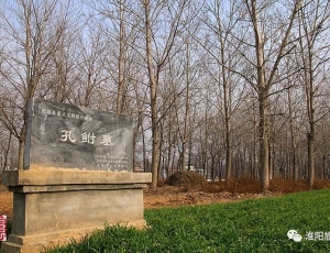 如果没有长眠淮阳的这位老人，中国儒学将会受到很大损伤——孔鲋