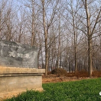 如果没有长眠淮阳的这位老人，中国儒学将会受到很大损伤——孔鲋