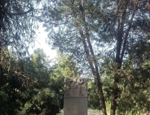 古亳都地望考辨：帝喾之亳、成汤之都当在亳州，非商丘谷熟