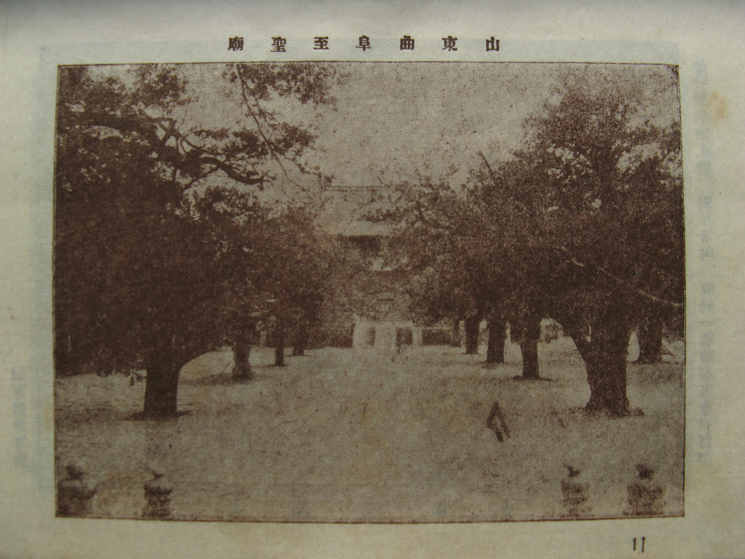 照片 345.jpg