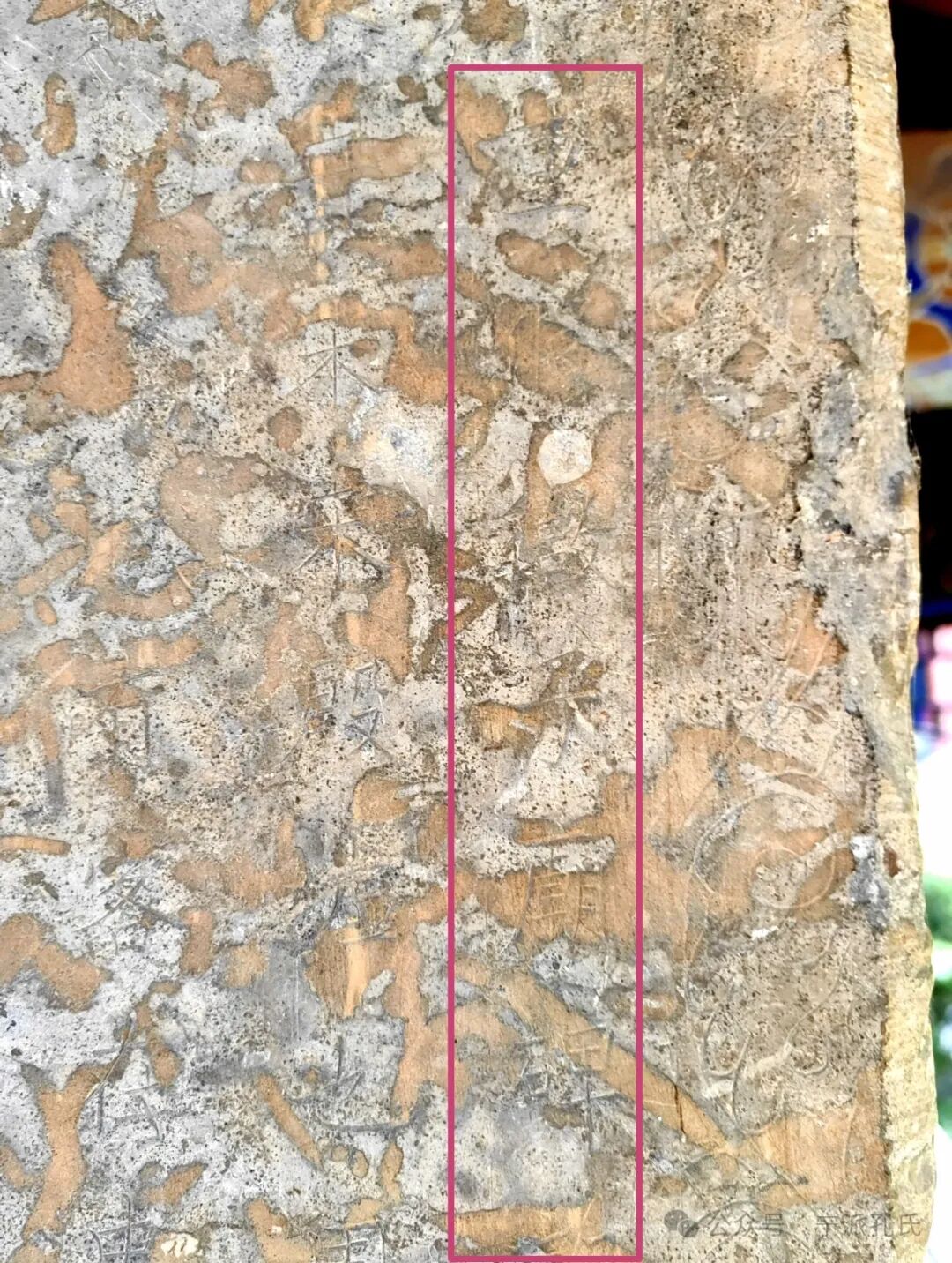 06.jpg